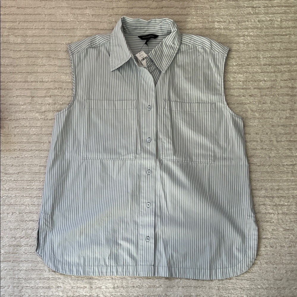 Banana Republic Blue Striped Sleeveless Top